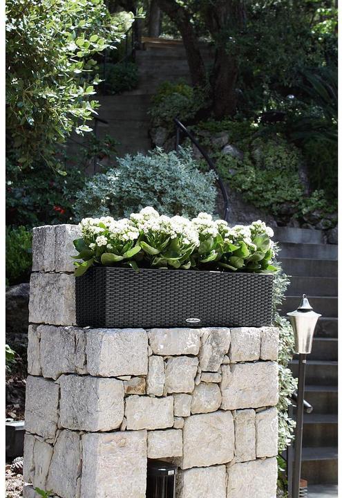 Immagine prodotto Lechuza Balconera Cottage (19 cm)