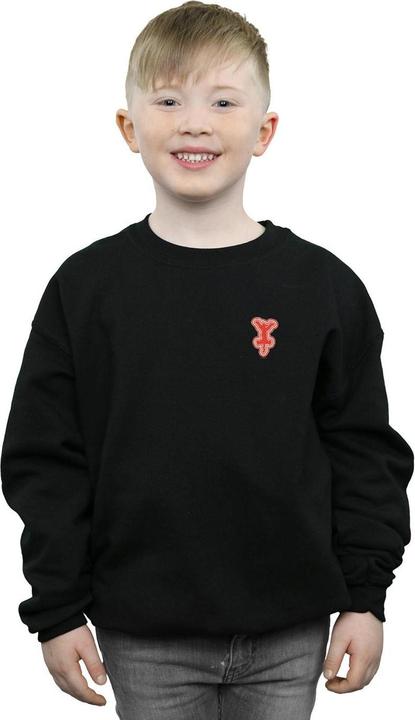 Image du produit Disney - Sweat WINNIE THE POOH TIGGER CHEST - Garçon (152, 158)