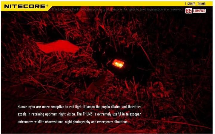 Produktbild Nitecore Thumb UV (7.40 cm, 45 lm)