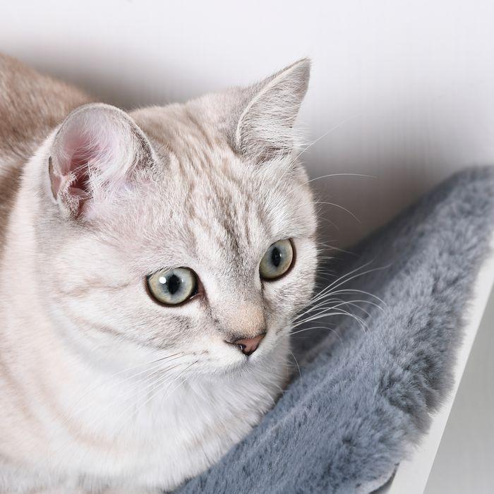 Actual product image Swisshandel24 Cat bed Cat shelf Cat lounger Wall-mounted cat lounger Wall-mounted plush pad MDF White+grey 41 x (Cat)