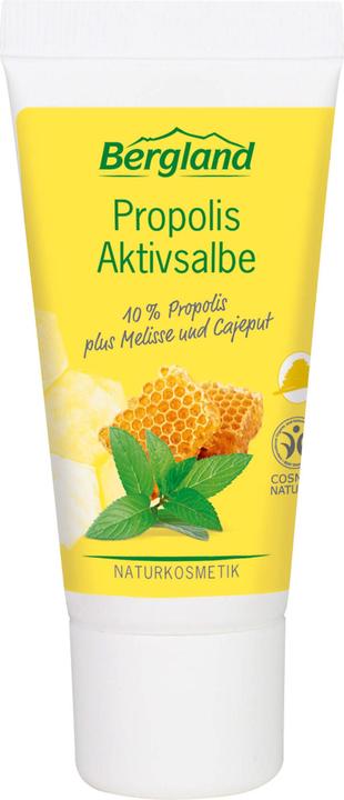 Produktbild Bergland Propolis Aktivsalbe, 30 ml SAL (30 ml)