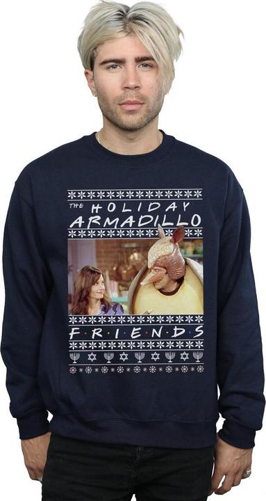 Image du produit Friends - Sweat FAIR ISLE HOLIDAY ARMADILLO - Homme (XL)