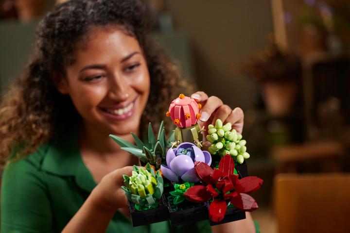Actual product image LEGO Succulents (10309, LEGO Botanical, LEGO Rare Sets)