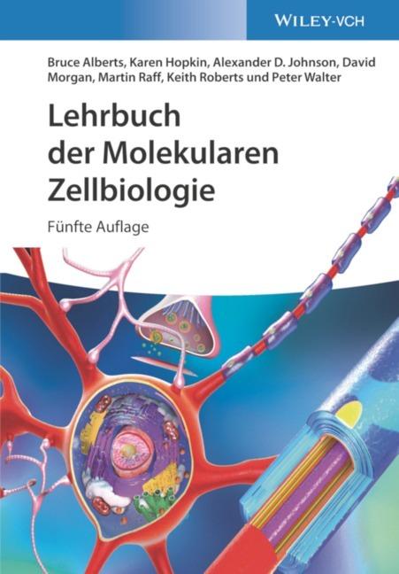 Produktbild Lehrbuch der Molekularen Zellbiologie (Deutsch, Keith Roberts, Bruce Alberts, Alexander D. Johnson, Karen Hopkin, Peter Walter, David Morgan, 2021)