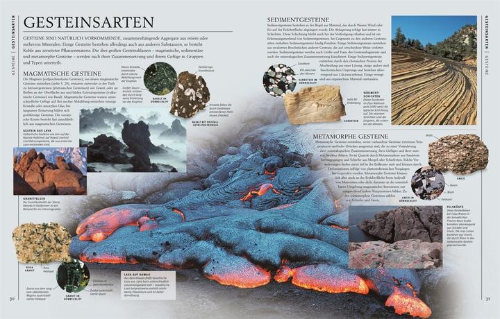 Produktbild Steine & Mineralien (Deutsch, Ronald L. Bonewitz, Karin Koch, Stephan Matthiesen, 2023)