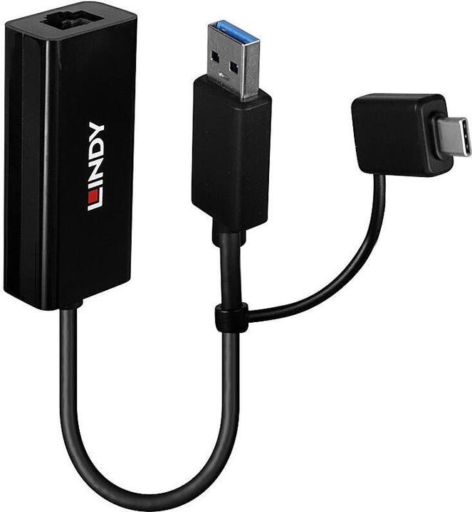 Actual product image Lindy USB 3.2 Gen 1 Gigabit (USB, RJ45 Gigabit Ethernet (1x))
