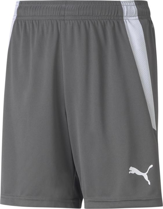 Image du produit Puma short teamLIGA Jr-704931 (176)
