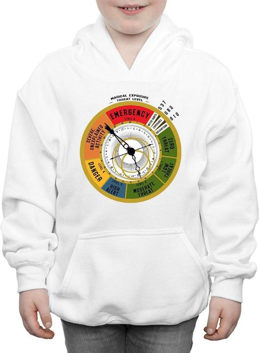 Actual product image Fantastic Beasts Boys Threat Level Hoodie (128)