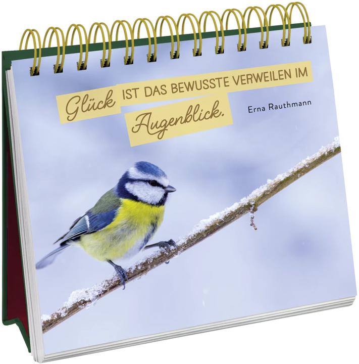 Actual product image Contemplative Christmas wishes for you