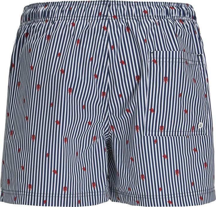 Immagine prodotto Jack & Jones Jpstmaui Jjswim Mini Stripe Akm Sn (L)