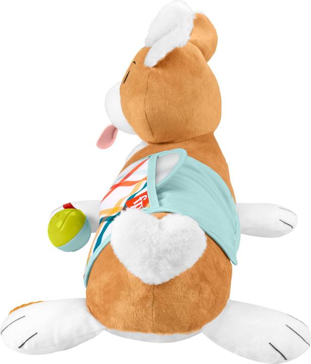 Actual product image Fisher-Price 3-in-1 doggie play cushion (Multilingual)