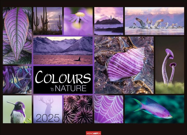 Produktbild Colours of Nature (68 x 49 cm, Kein Einband, Deutsch)