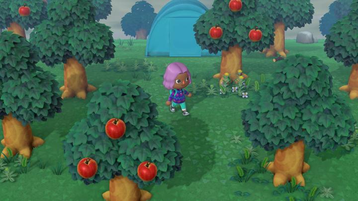 Image du produit Nintendo Animal Crossing : New Horizons (Switch, DE)