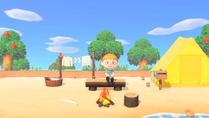 Produktbild Nintendo Animal Crossing: New Horizons (Switch, FR)
