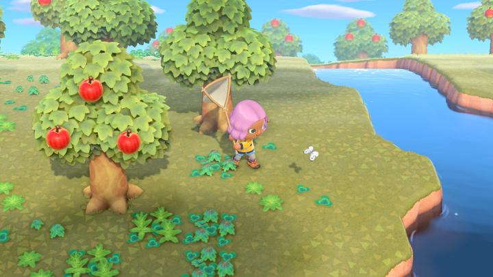 Produktbild Nintendo Animal Crossing: New Horizons (Switch, FR)