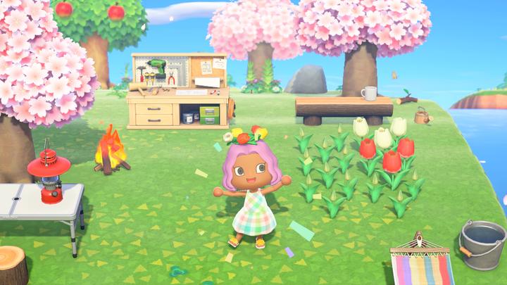 Produktbild Nintendo Animal Crossing: New Horizons (Switch, FR)