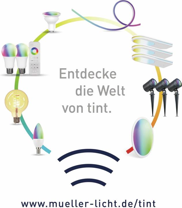 Immagine prodotto Müller Licht Lampada LED a globo dimmerabile G120 E27/15W(100W) 1520 lm 1800- 6500 K bianco caldo- bianco luce (E27, 15 W, 1520 lm, 1 x, F)