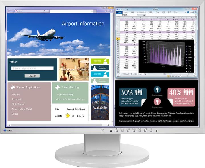 Eizo Ev2216 (1680 x 1050 Pixel, 22")