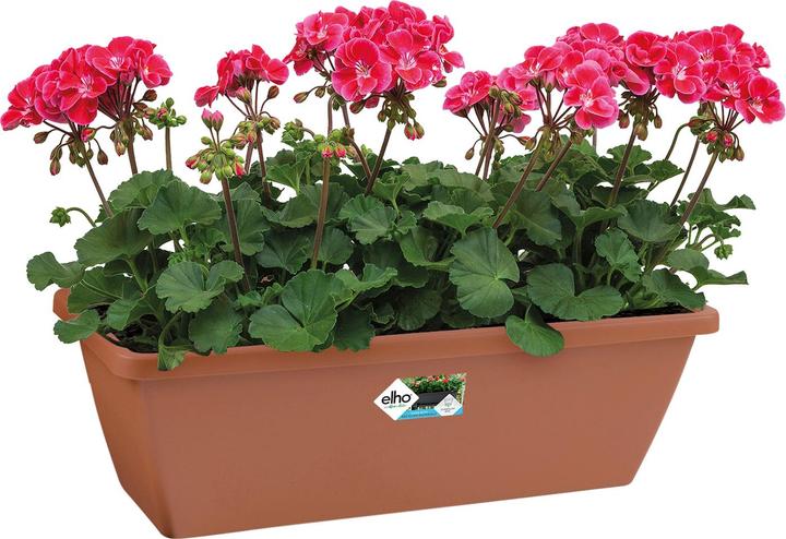 Produktbild Elho Barcelona (20 cm)