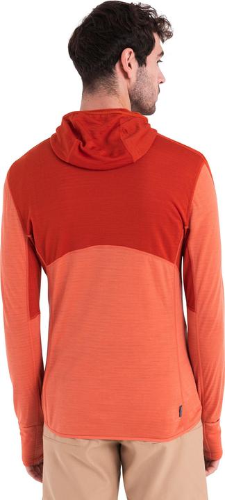 Immagine prodotto Icebreaker Merino 200 Realfleece Descender L/S Felpa con zip e cappuccio (M)