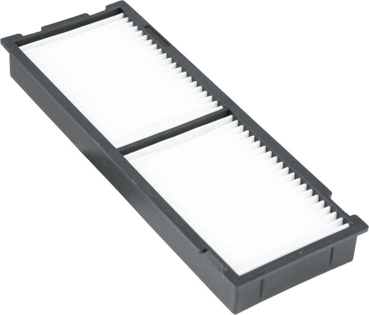 Actual product image Epson Elpaf38 (Filter)