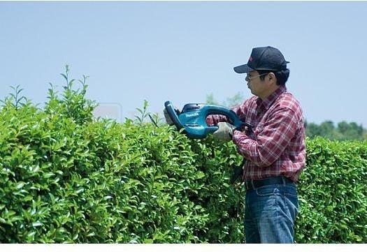 Actual product image Makita UH6580 (Electric hedge trimmer)
