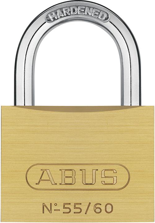 Actual product image Abus 55/30 B/DFNLI