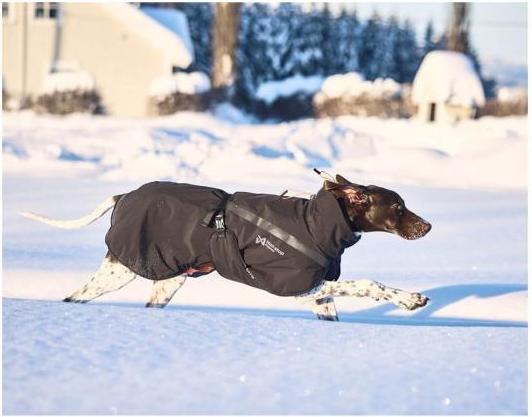Image du produit Non-Stop Dogwear Insulated Hundemantel XS (XS, Manteau pour chien)