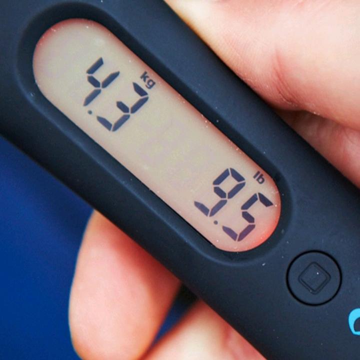 Actual product image Lifeventure Luggage Scales