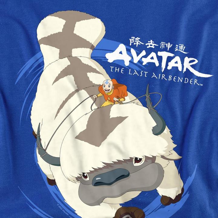 Image du produit Avatar: The Last Airbender - T-shirt IN FLIGHT - Adulte (M)