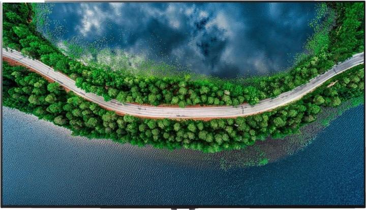 Actual product image LG OLED55GX6 (55", OLED, 4K, 2020)