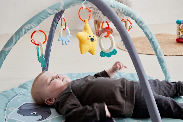 Productafbeelding Scandinavian Baby Products Dierentuin Activity Gym