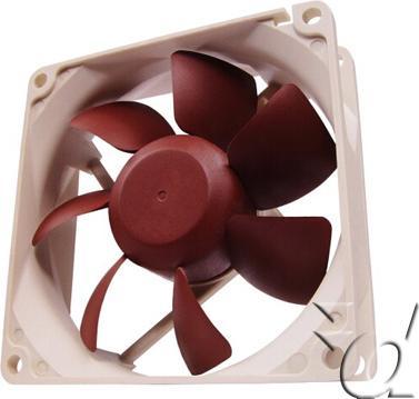Image du produit Noctua Ventilateur 80mm NF-R8 (80 mm)