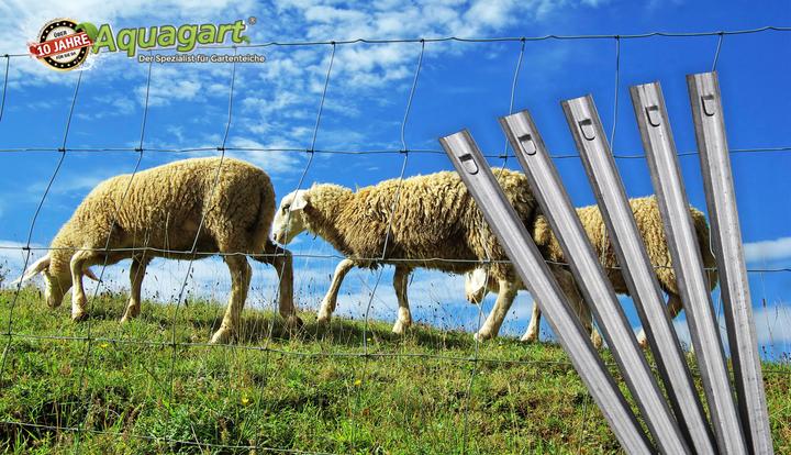 Actual product image Aquagart 30 W-Profil Zaunanker Erdanker für Wildzaun Forstzaun Weidezaun 50cm