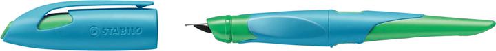 STABILO EASYbirdy ergonomic school fountain pen for right-handers standard nib (Green, Blue, 1 x)