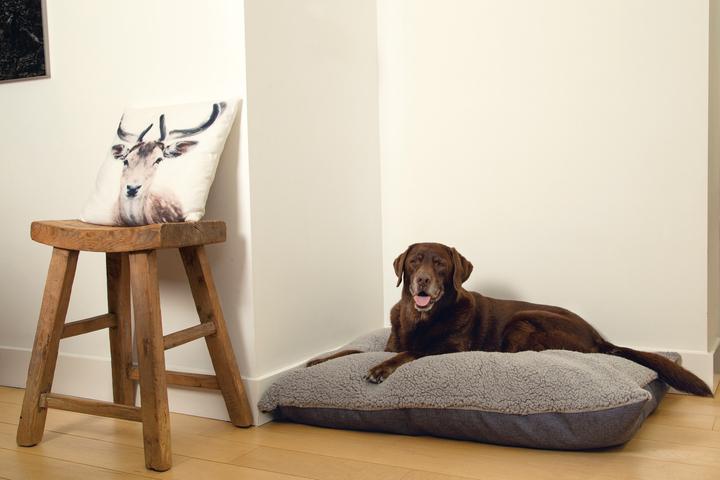 Produktbild Beeztees Ruba (Hund)