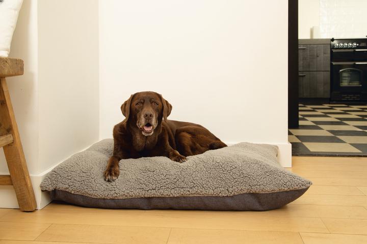 Produktbild Beeztees Ruba (Hund)