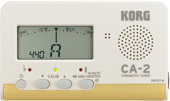 Korg Ca-2