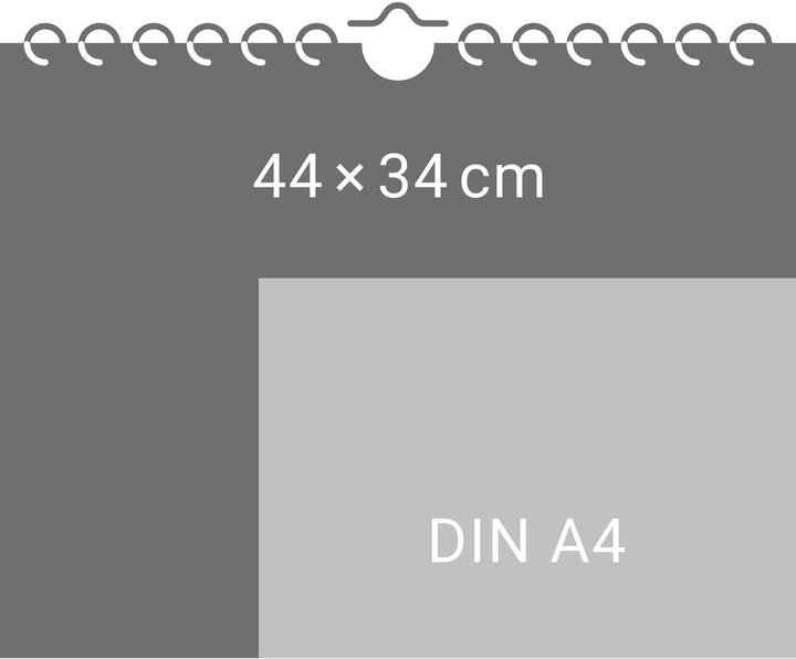 Actual product image Helme Heine: Monatsplaner 2026 (44 x 34 cm, Hardcover, German)
