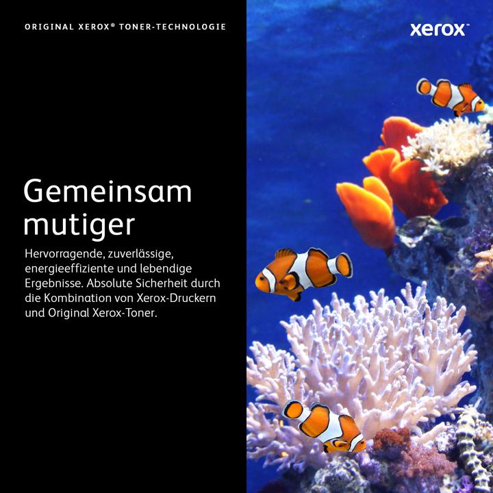 Immagine prodotto Xerox 113r00719 (C)