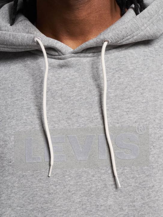 Actual product image Levis Relaxed Graphic Hoodie - 127125 (M)