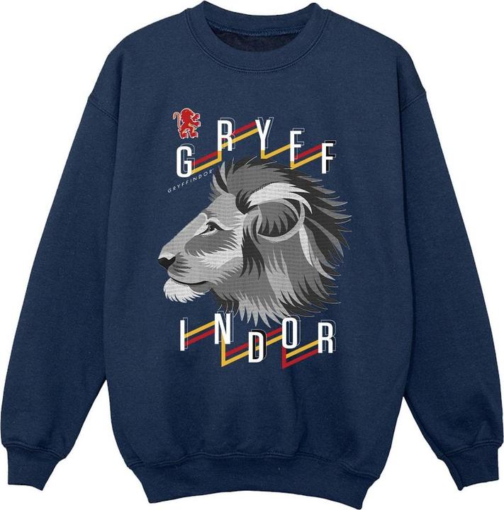 Immagine prodotto Gryffindor Lion Icon Felpa Ragazze (152, 158)