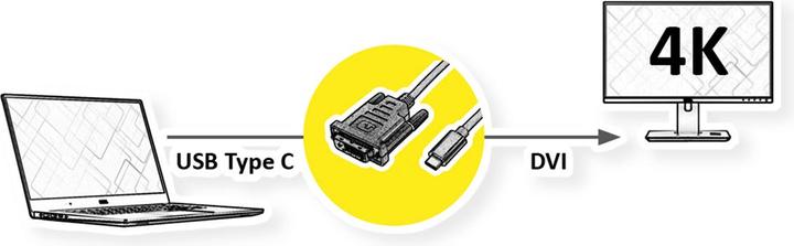 Actual product image Roline USB Typ C — DVI (2 m, DVI)