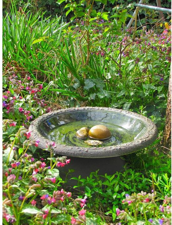 Actual product image Wildlife World Coniston bird bath 50 x 50 x 20.5 cm