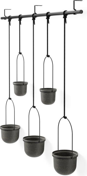 Actual product image Umbra Triflora (137 cm)