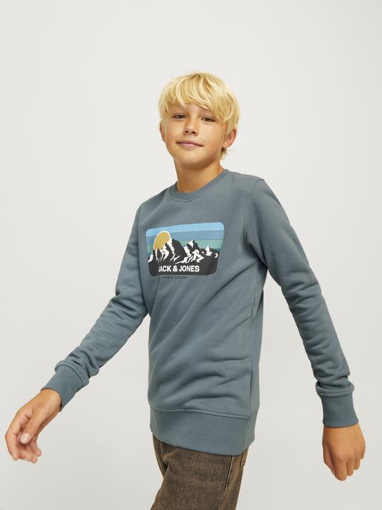 Actual product image Jack & Jones Printed sweatshirt with round neck Sweatshirt with round neck (164)
