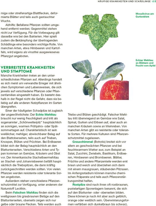 Produktbild Das grosse Gemüse- und Obstgartenbuch (Deutsch, Joachim Mayer, 2025)