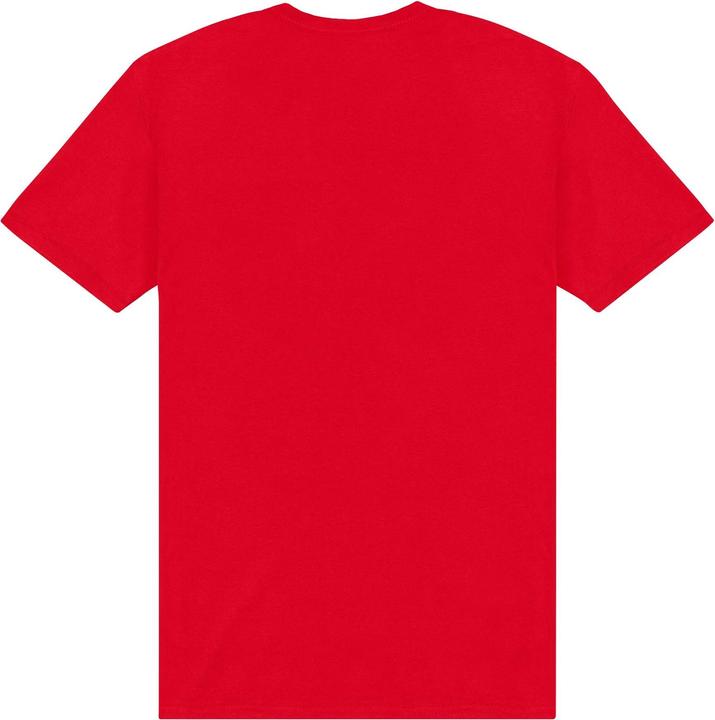 Produktbild The Flash Image TShirt (L)