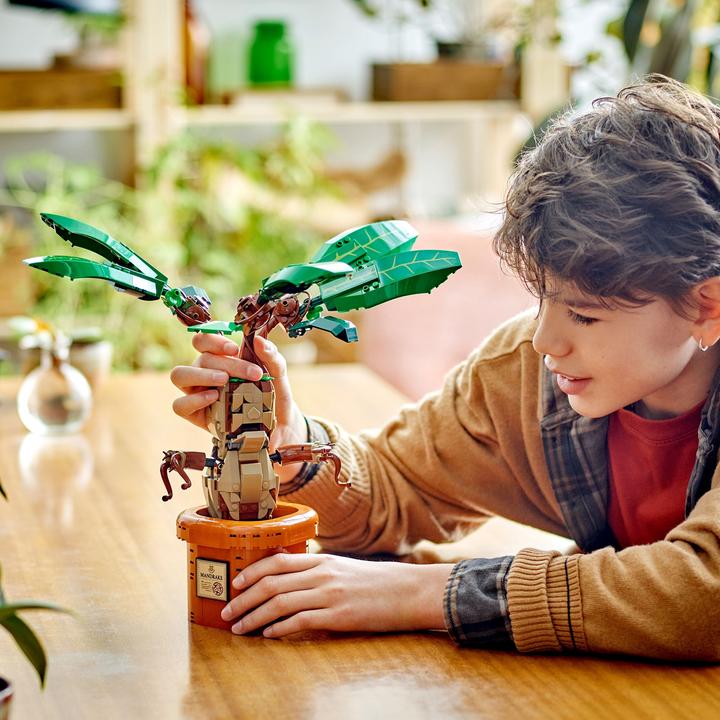 Immagine prodotto LEGO 76433 Pianta della pozione magica: Mandragola (76433, LEGO Harry Potter)
