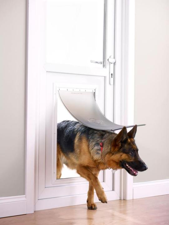 Actual product image PetSafe Haustierklappe Staywell® Haustiertüre (Manual cat flap)